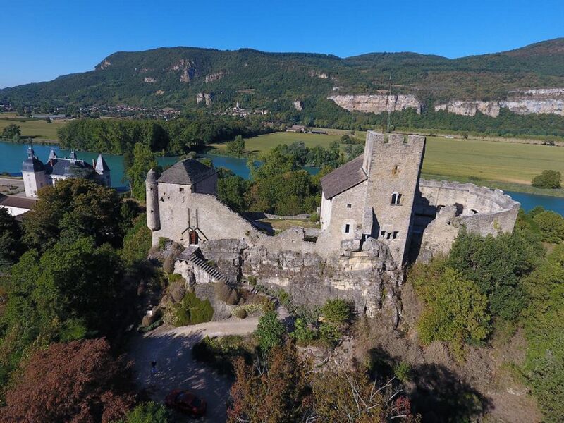 Maison forte de Vertrieu