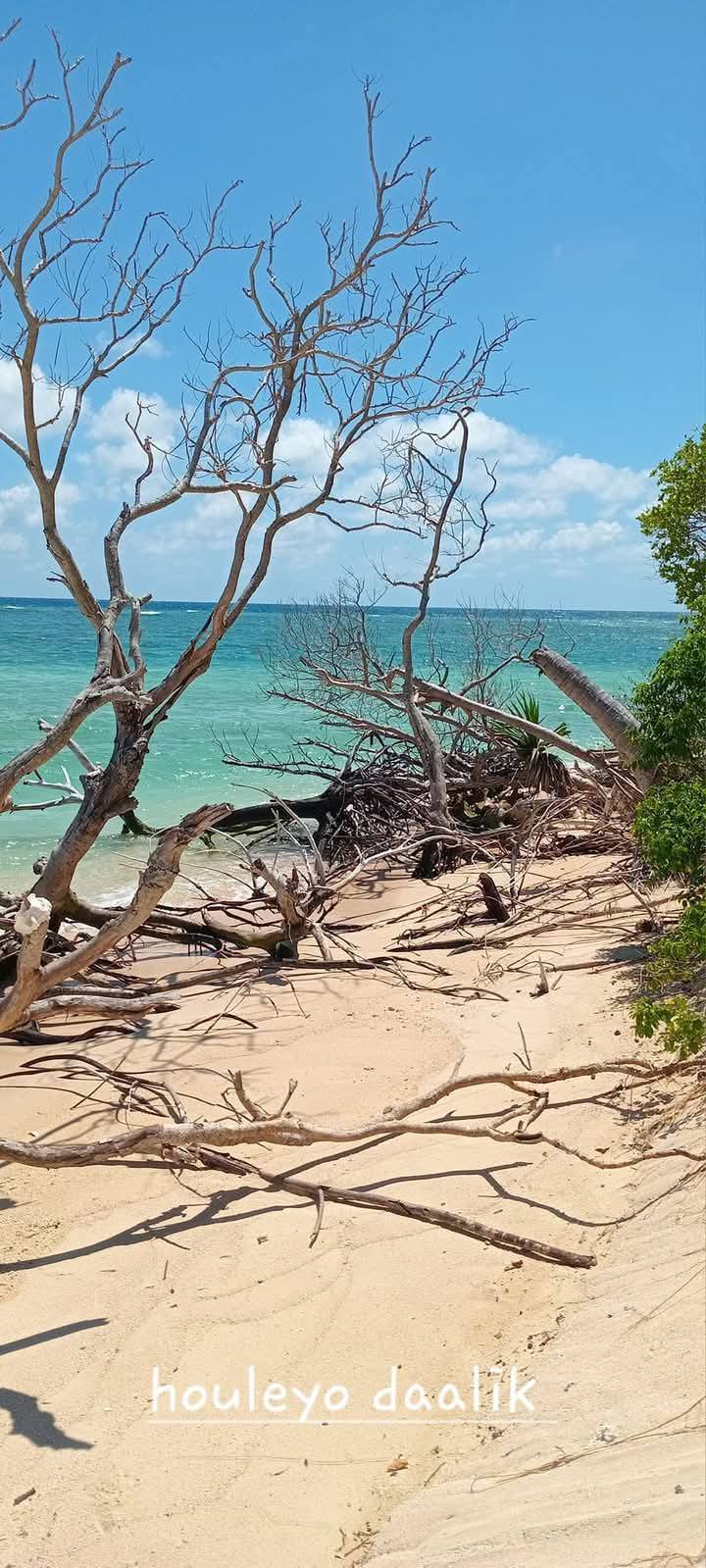 Excursion en mer sur l'îlot Hiengabat