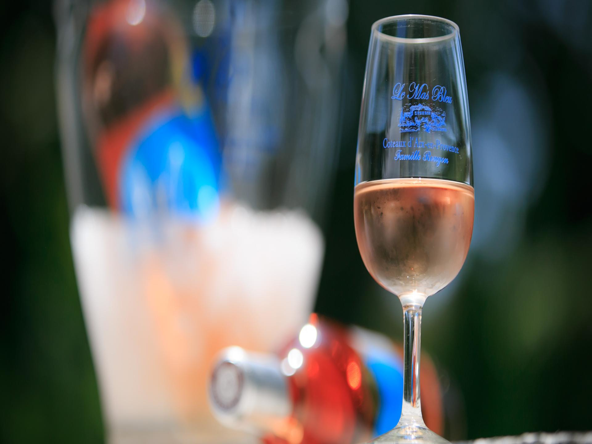 Domaine du Mas Bleu, Gignac-la-Nerthe - photo 3