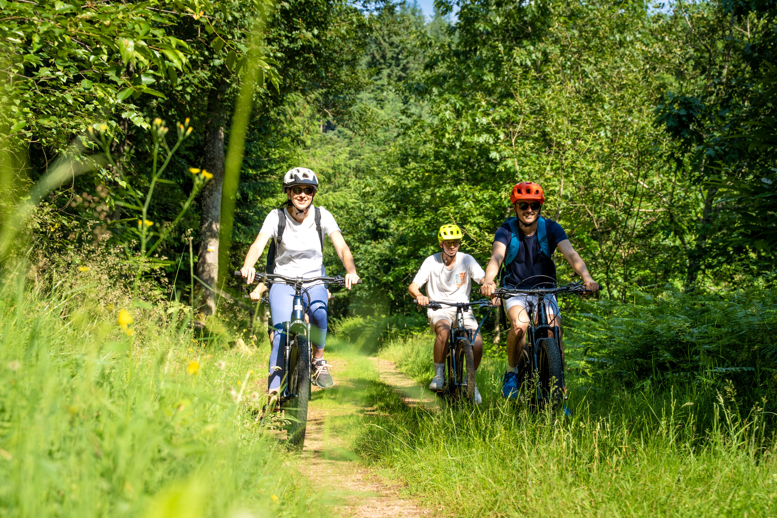 Balade VTT au cœur d'un massif forestier roannais