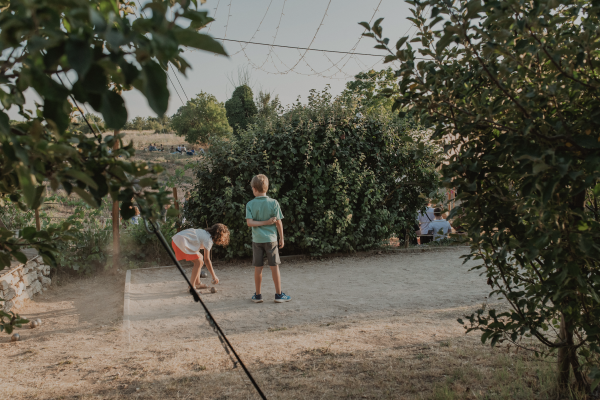 Visite d'un champ de Lavande Aix en Provence
