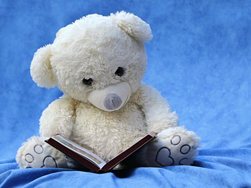 jouet-ours-livre-lecture
