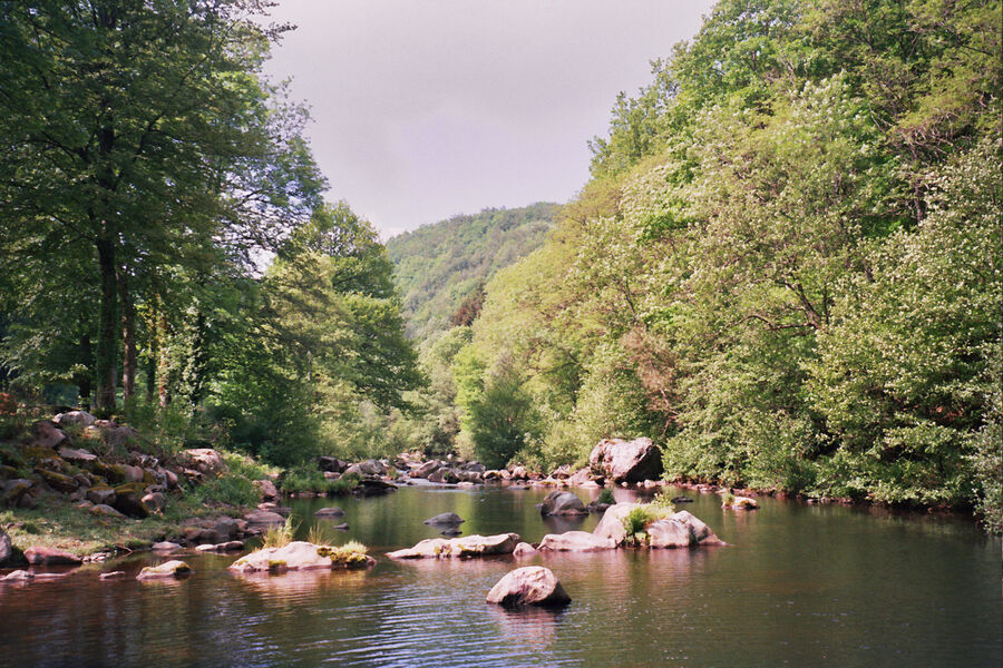 rivière Agout Brassac