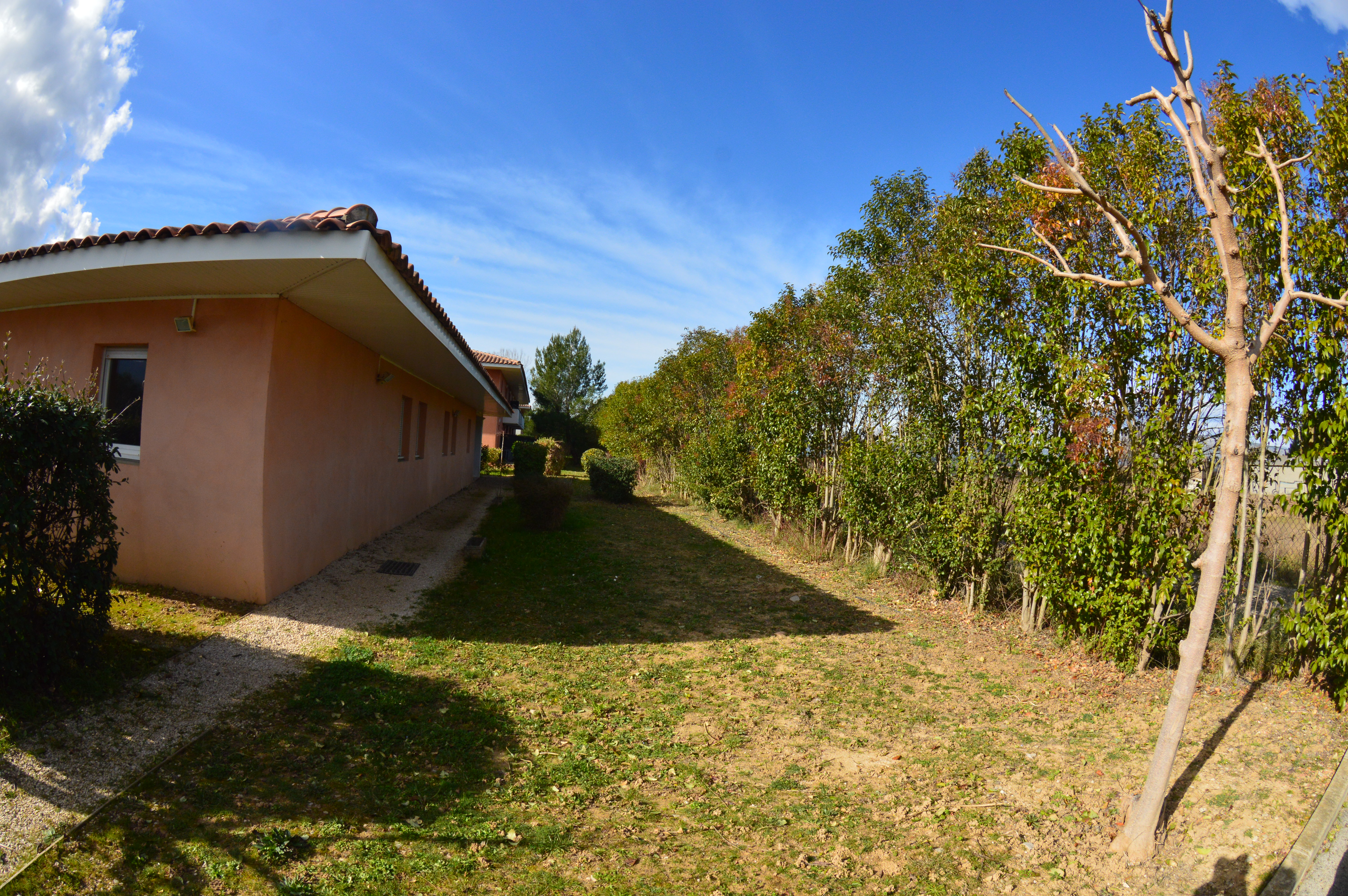 LE STUDIO CEZANNE NGUYEN, Trets - photo 3