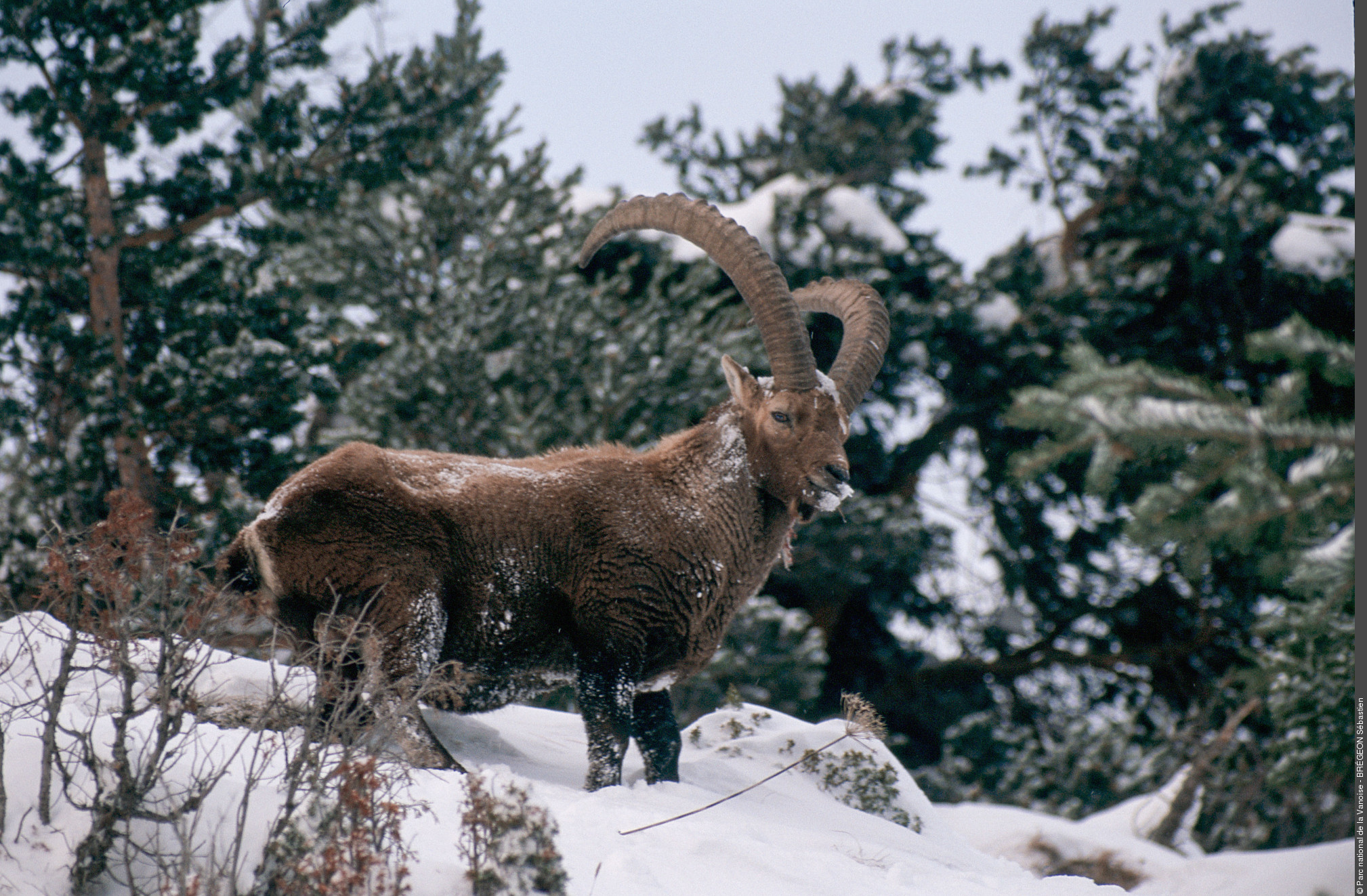 A la découverte de la faune