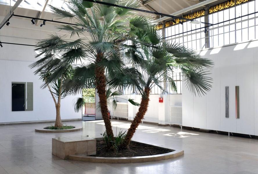 Exposition "Le jardin où nous existons pour correspondre à la distance" d'Emma Ben Aziza à la Serre_Saint-Étienne