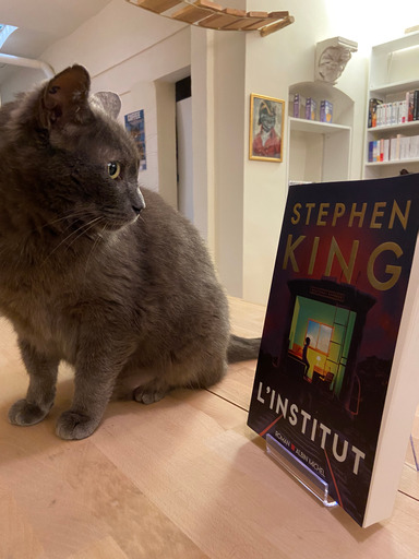 Mon Chat Pitre - photo 3