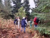 Balade contée des mégalithes - animation famille_Usson-en-Forez