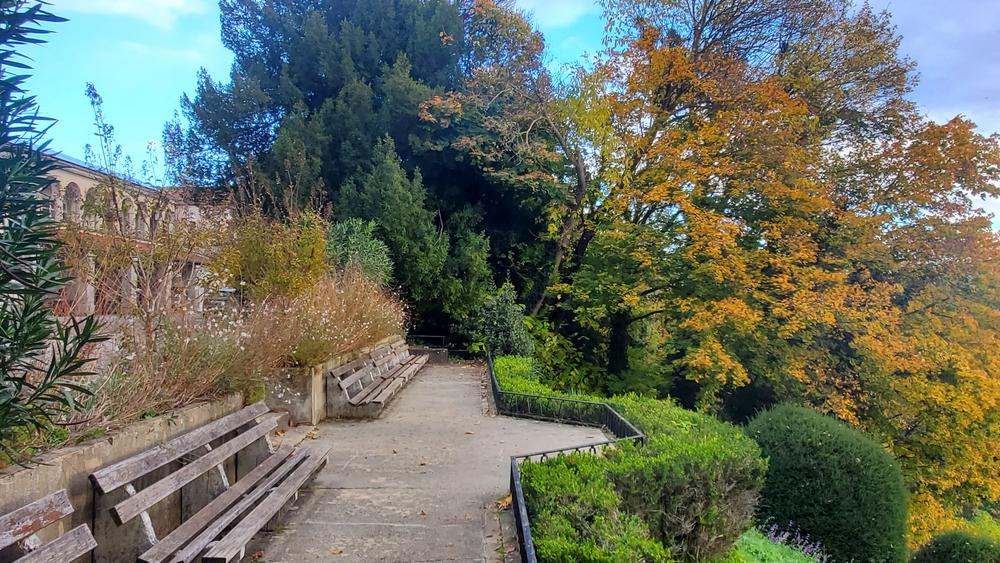 Terrasse ensoleillée