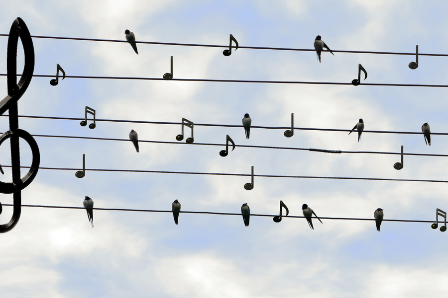 Fête de la musique_Bussières