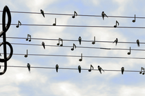 Fête de la musique_Bussières