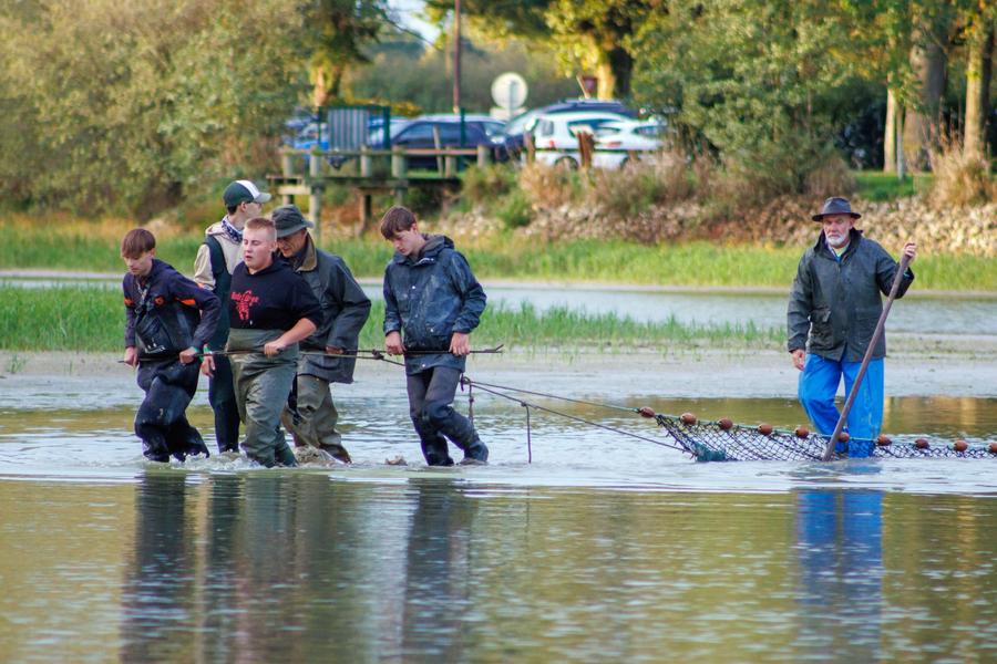 http://Journées%20découverte%20Poissons%20de%20Dombes