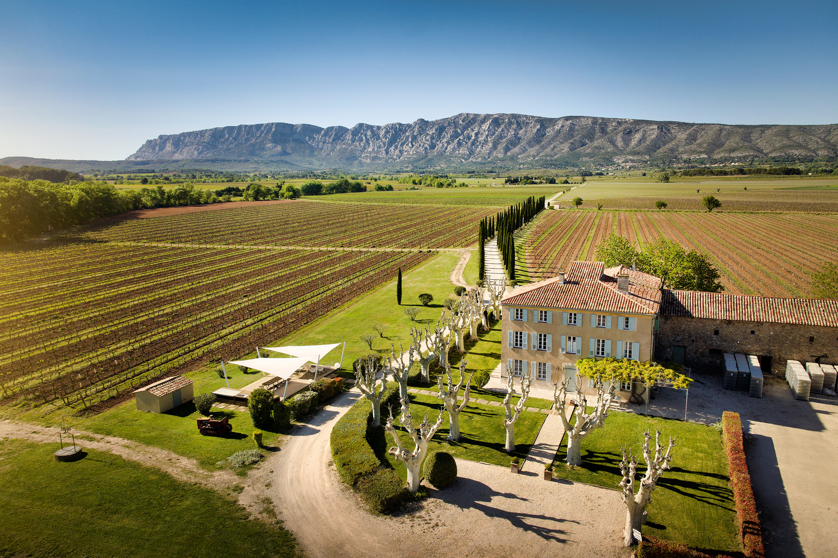 Les musicales dans les vignes