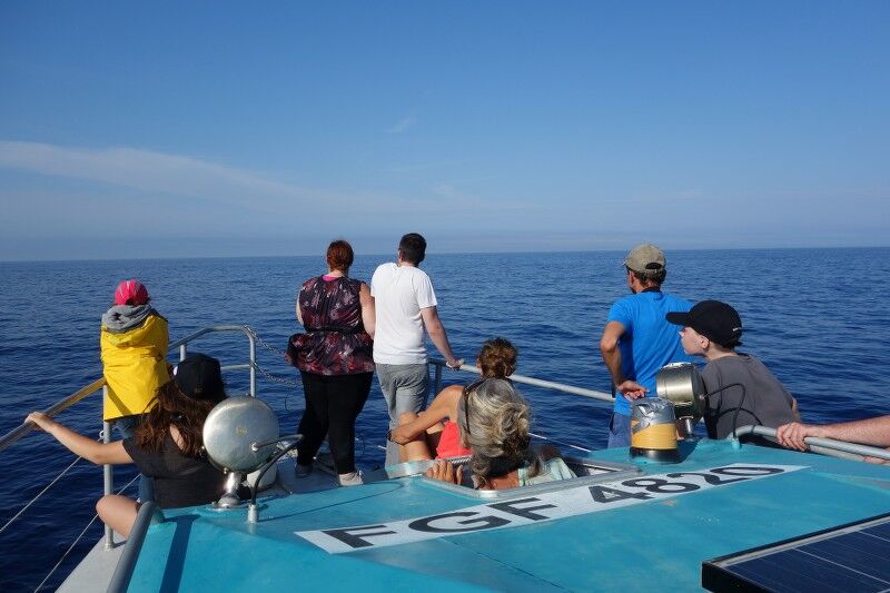 Sortie Observation des cétacés Espace Mer