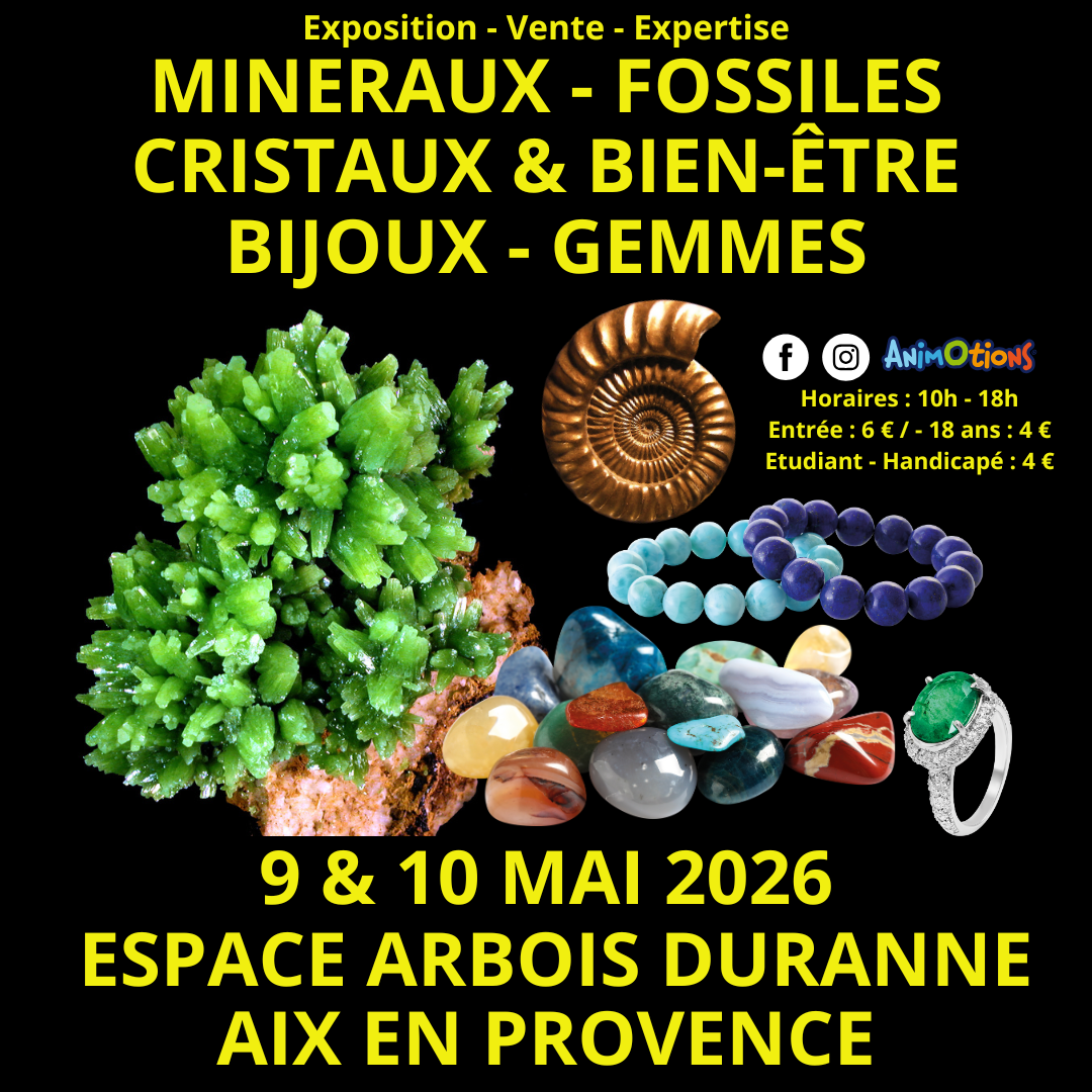 Salon Minéraux Fossiles Cristaux & Bien-Être Bijoux et Gemmes d’Aix en Provence + Exposition l’Histoire de nos Ancêtres