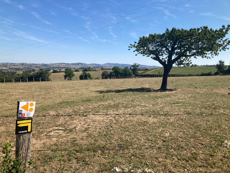 Sentier des pas vaillants_Saint-Médard-en-Forez