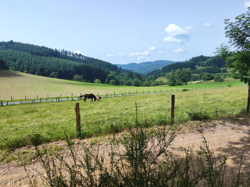 Ma première nuit étoilée - Beaujolais - Tarare