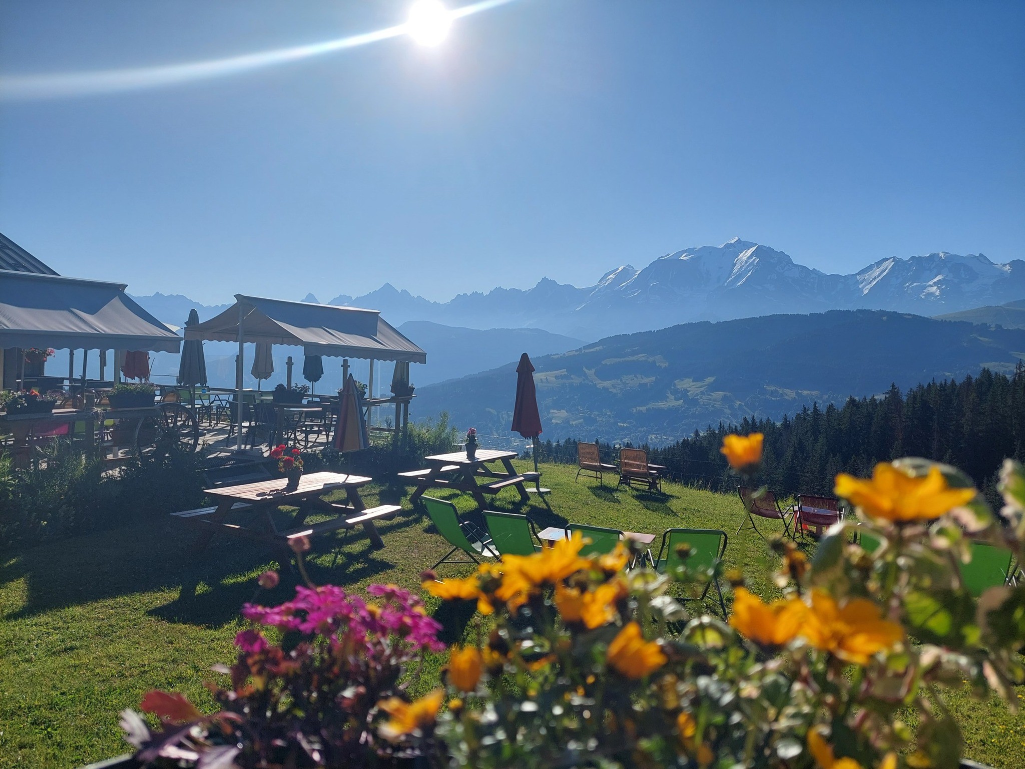jardin vue mont-blanc