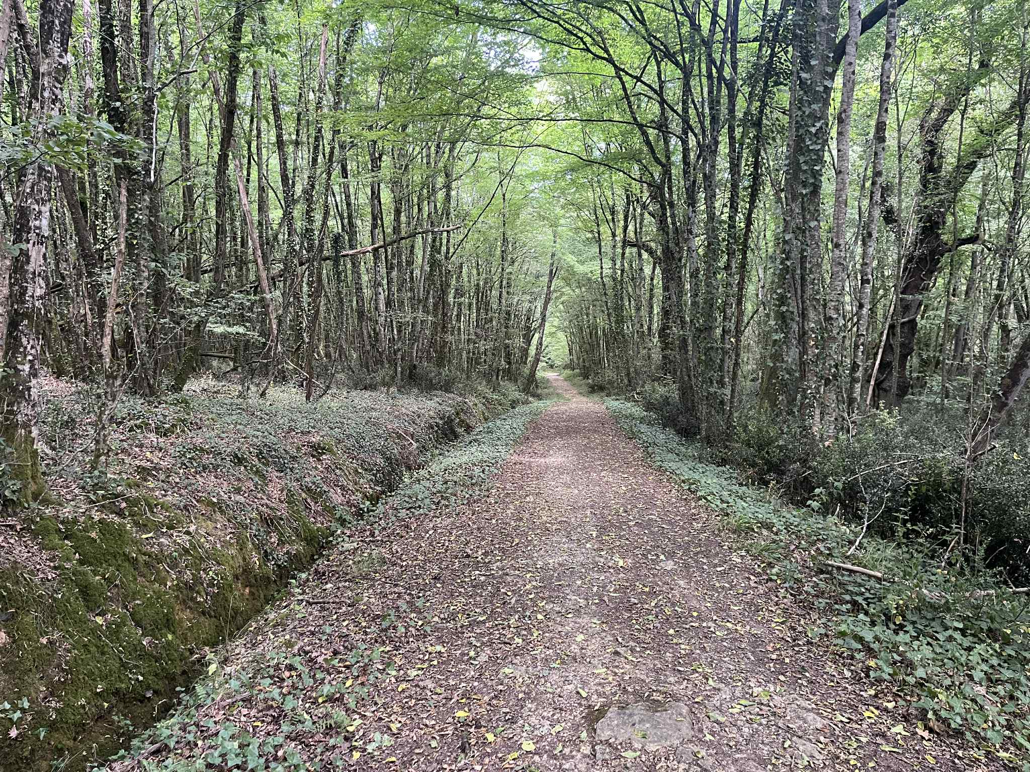 Via Bussac- circuit 1