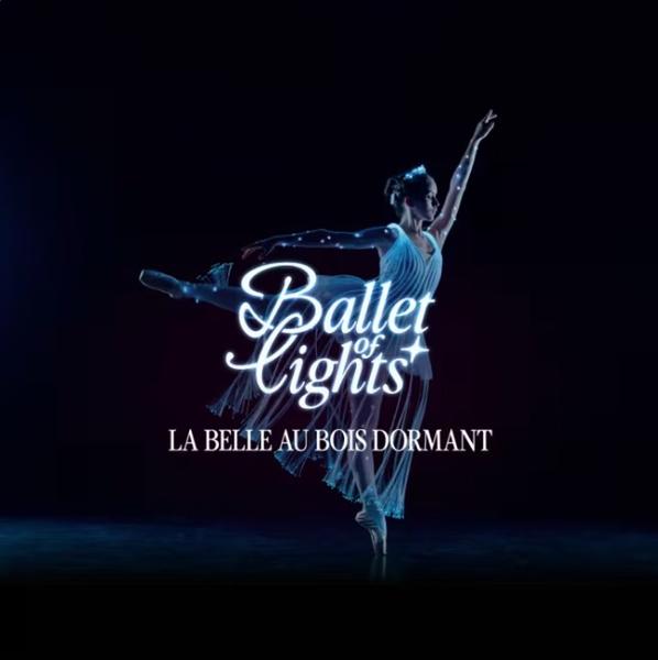 Ballet of Lights: la Belle au bois dormant_Avignon
