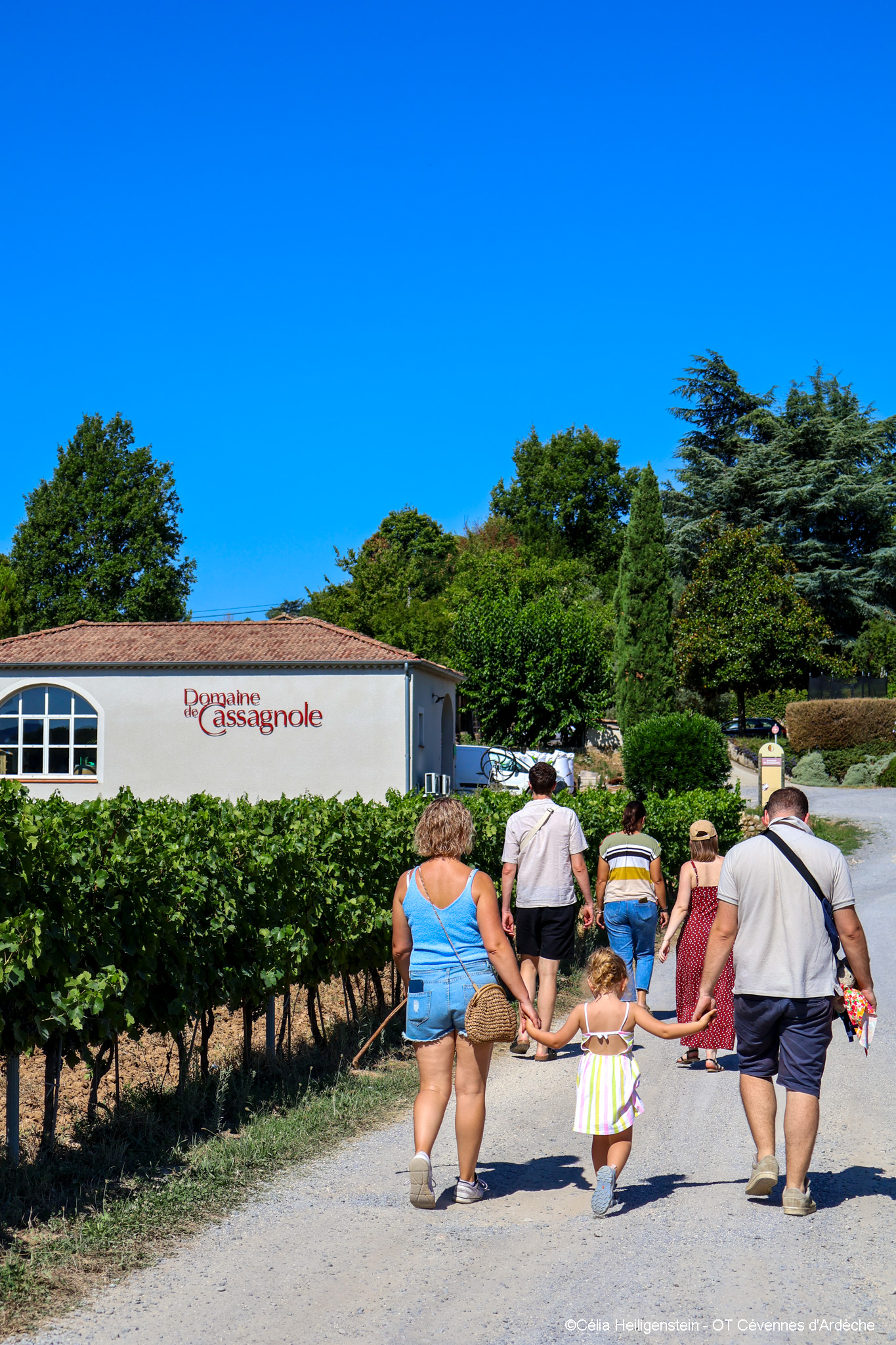 Sortie Domaine de Cassagnole - _C_lia Heiligenstein - OT C_vennes d'Ard_che (44)