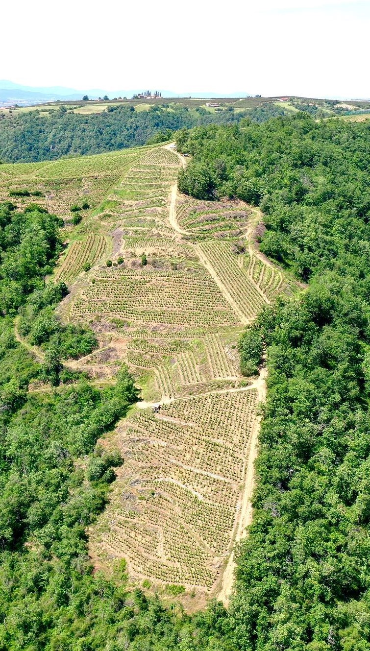 Domaine Rouse Weingut Rousset - La Drôme Tourisme