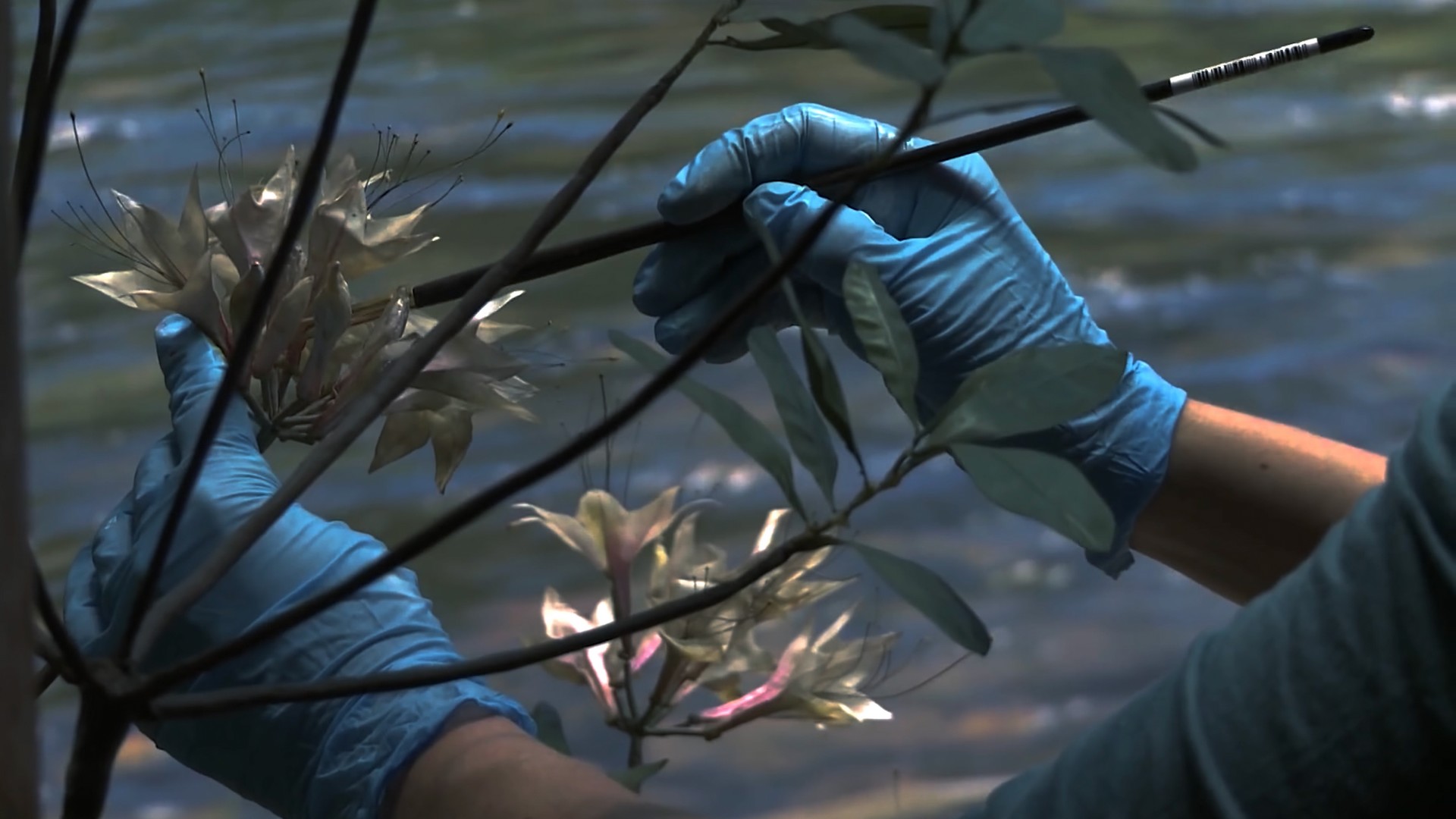 Soirée Astrale #19 Printemps