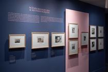 cabinet_rembrandt-15_-2.jpg