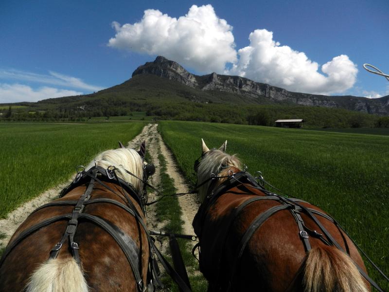 Evasion nature roulotte itinérante et balade en calèche_Le Poët-Célard
