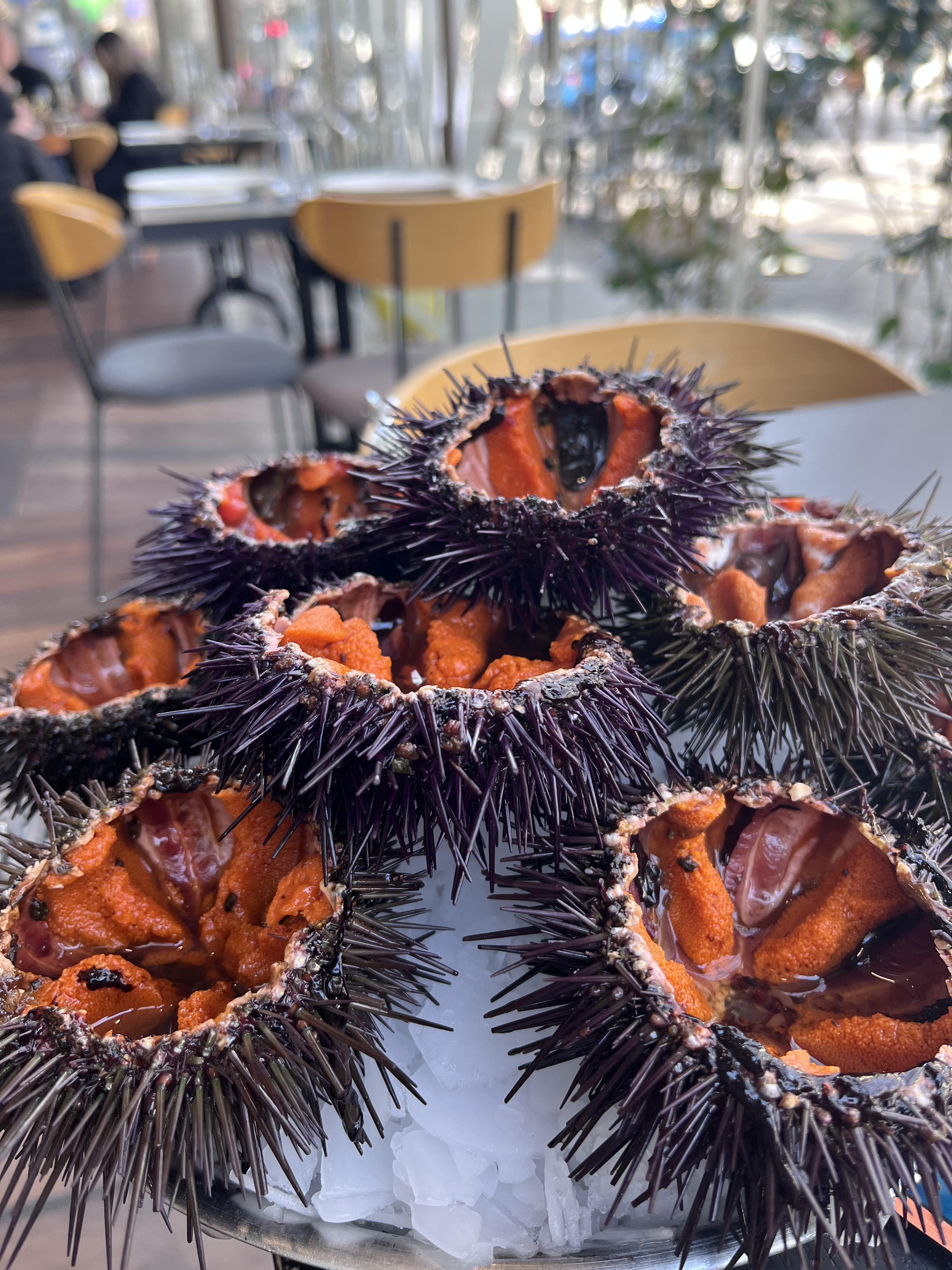 Pierrot Coquillages - photo 3