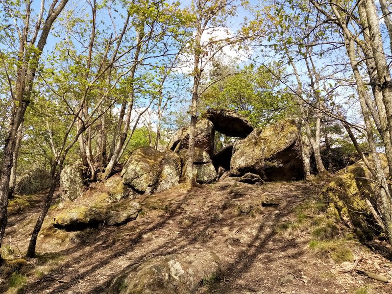 Balade en Vallons Vaugneray