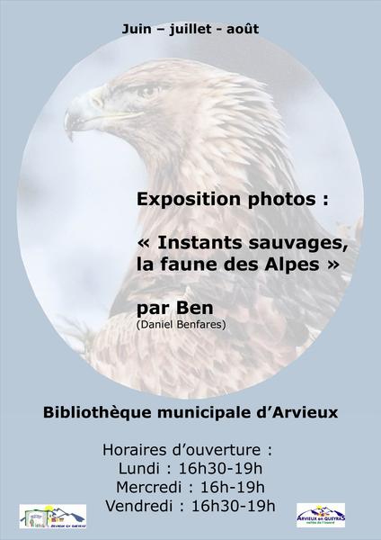 affiche - © Bibliothèque Arvieux Exposition photos : Instants sauvages, la faune des Alpes_Arvieux - © Bibliothèque Arvieux