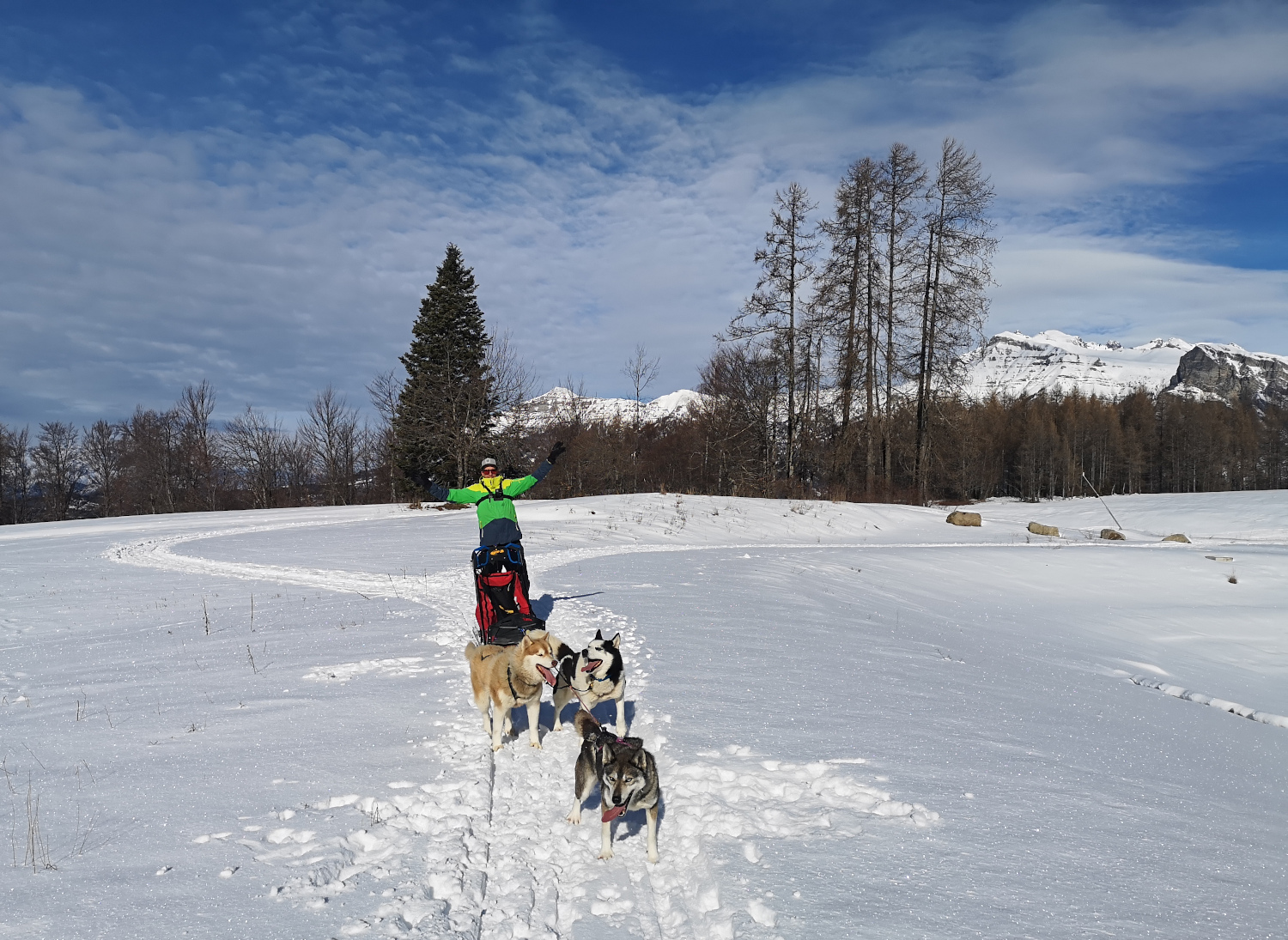 Conduite d'un traîneau à chiens avec Passion Traineau