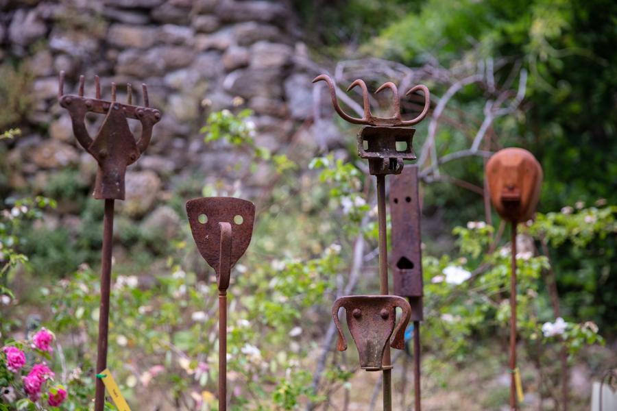 Association Colette Bonzo