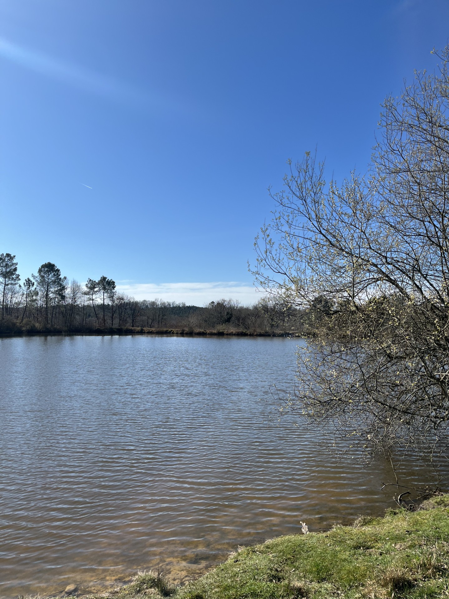 Pêche au Domaine du Grand Beaulieu