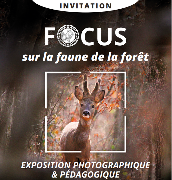 Vernissage de l'exposition 
