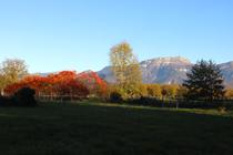 Photo de l'exposition