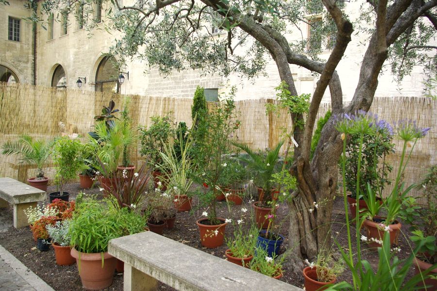 Jardin Ceccano
