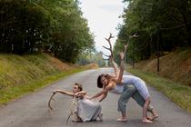 Faune_Meylan