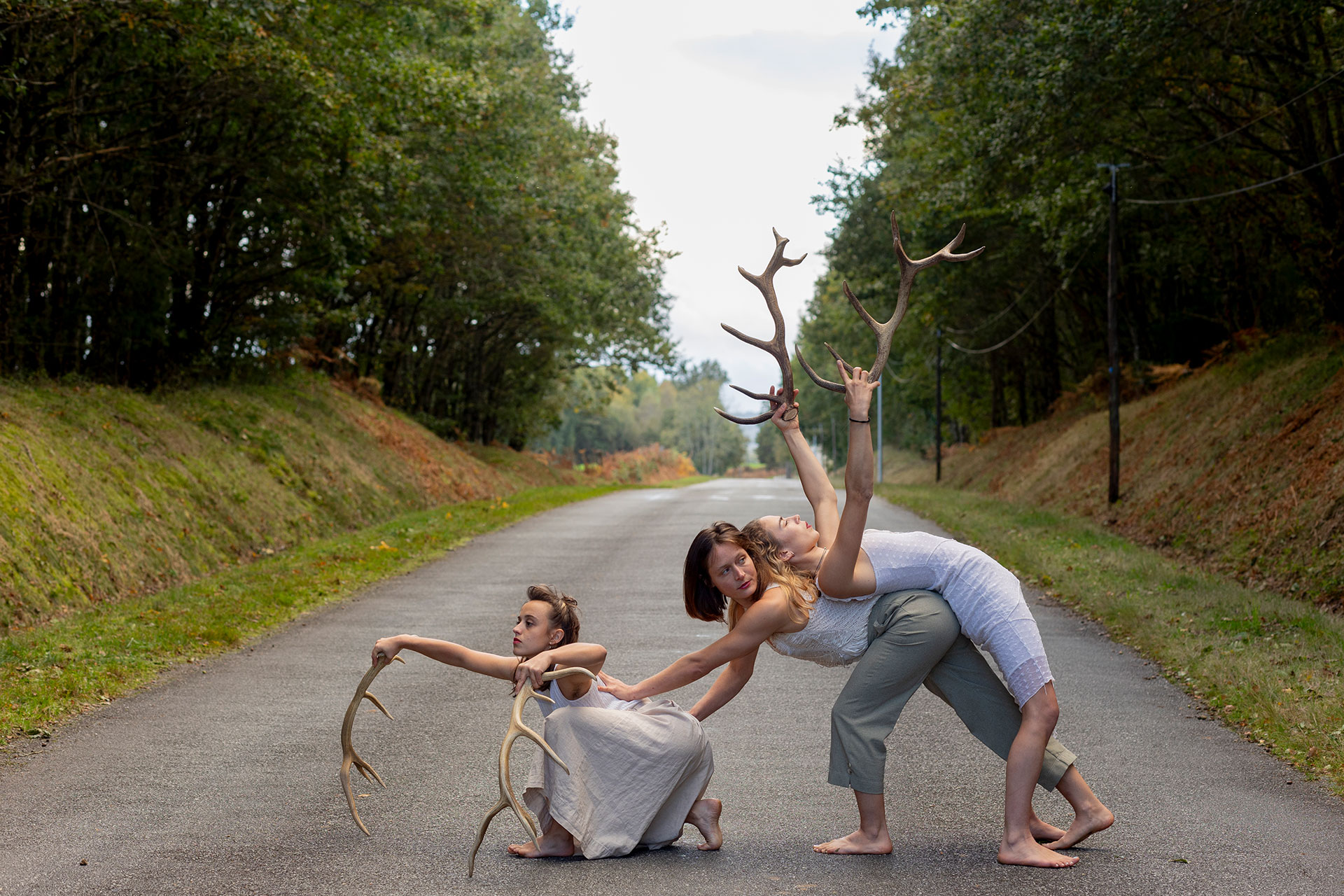 Faune_Meylan
