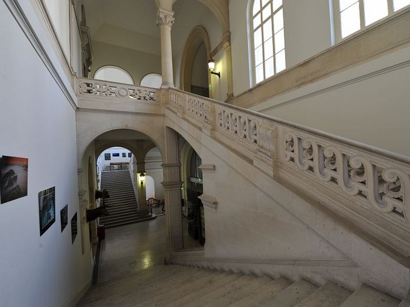 Muséum d'Histoire Naturelle de Marseille (MHNM)