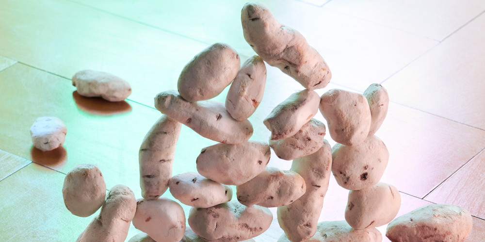 Visite famille : 1001 Patates