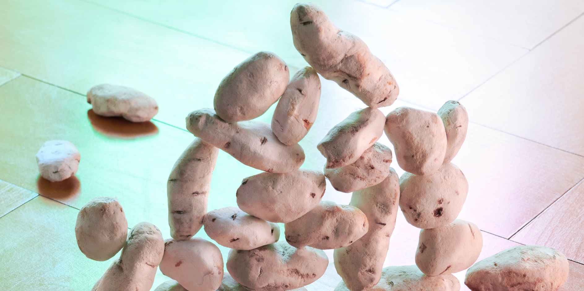 Visite famille : 1001 Patates