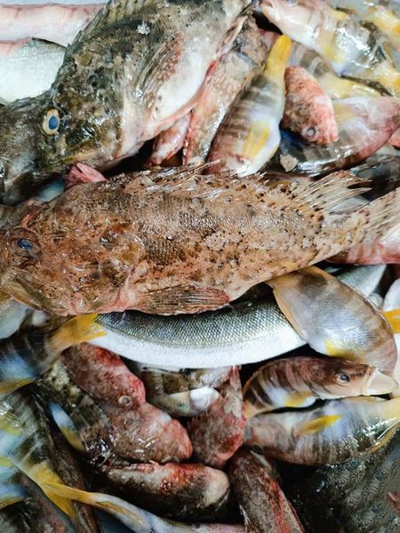 Les Berges du Lac - Montmeyan