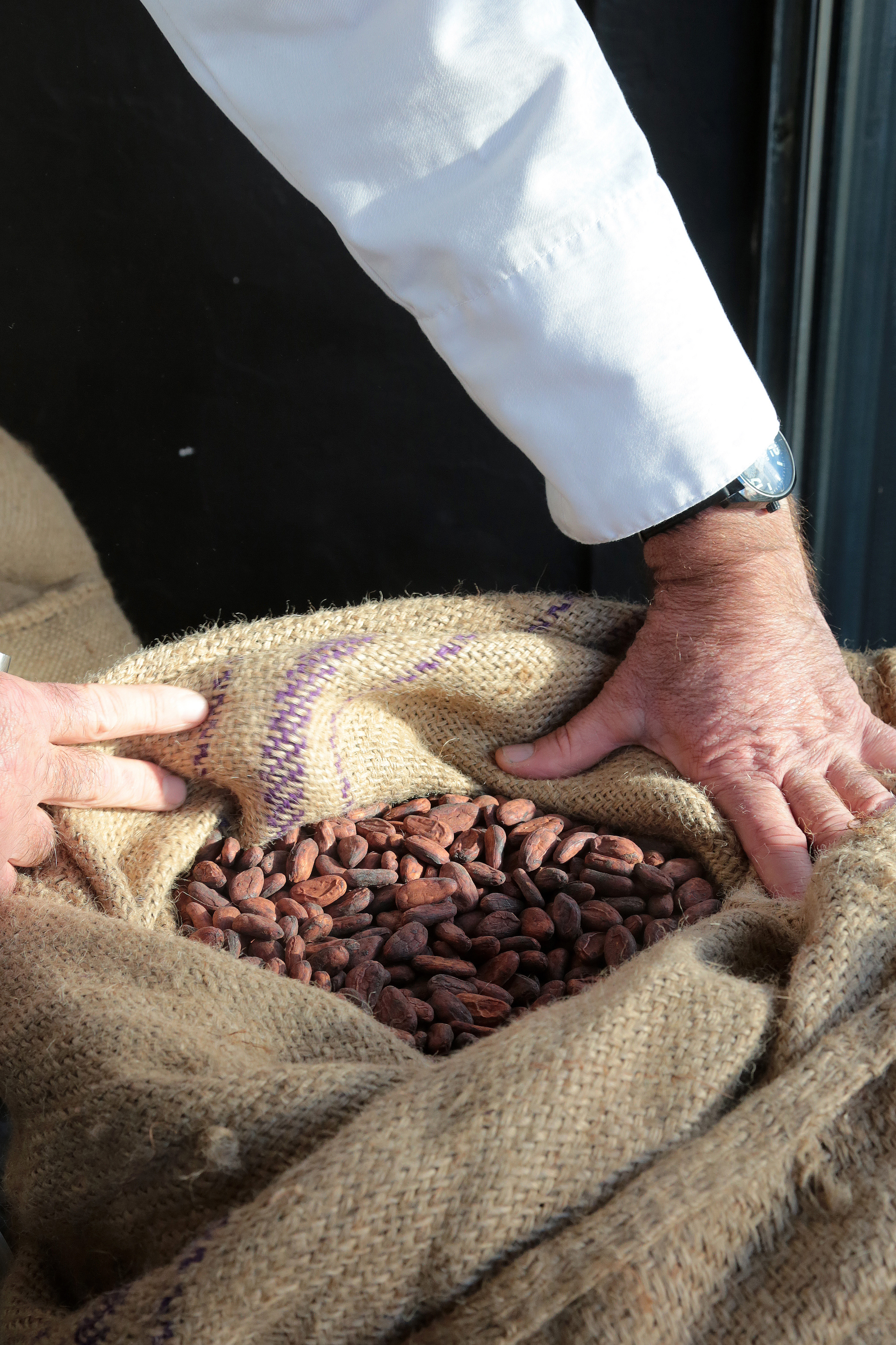 Fu00e8ves de cacao