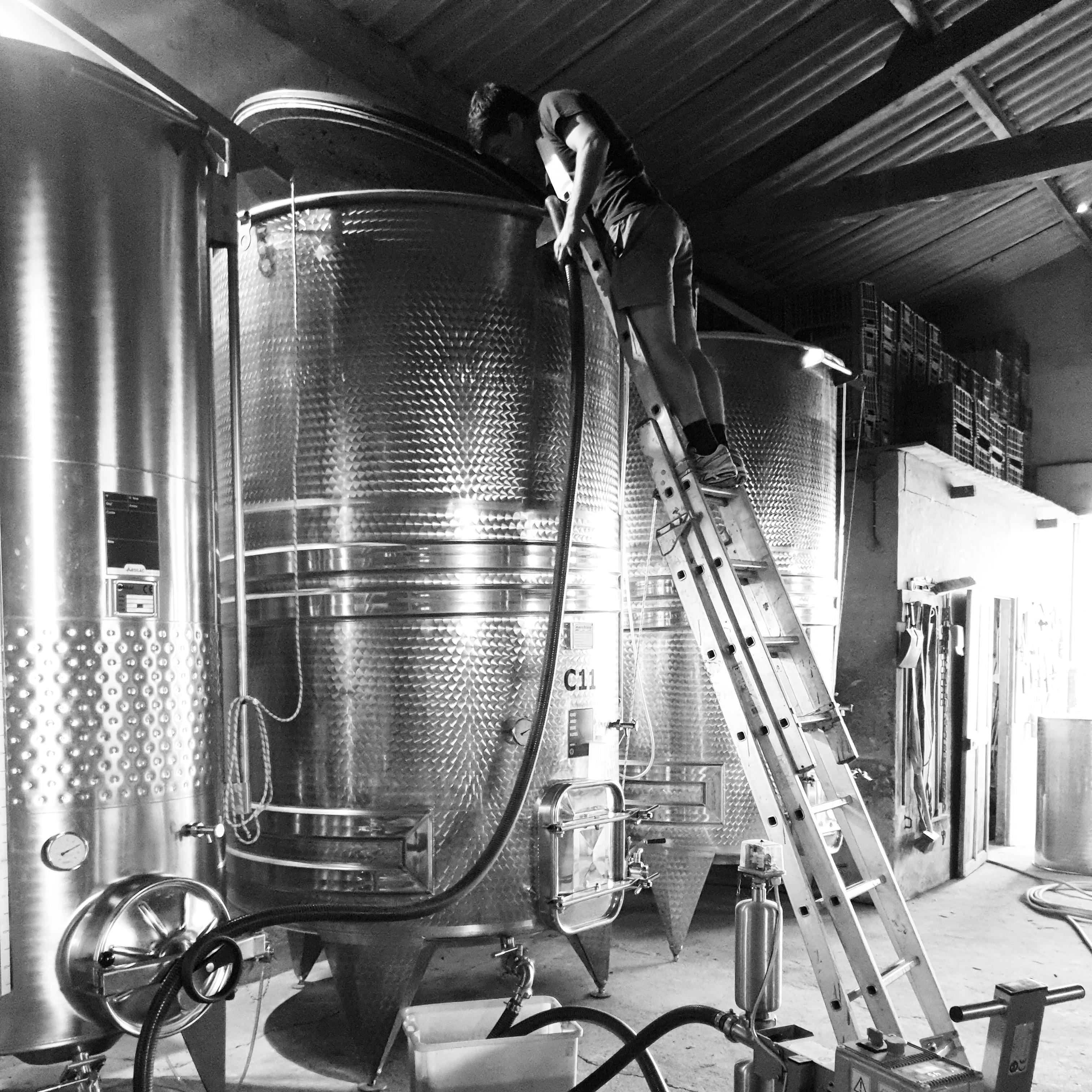 Domaine des Blaquières