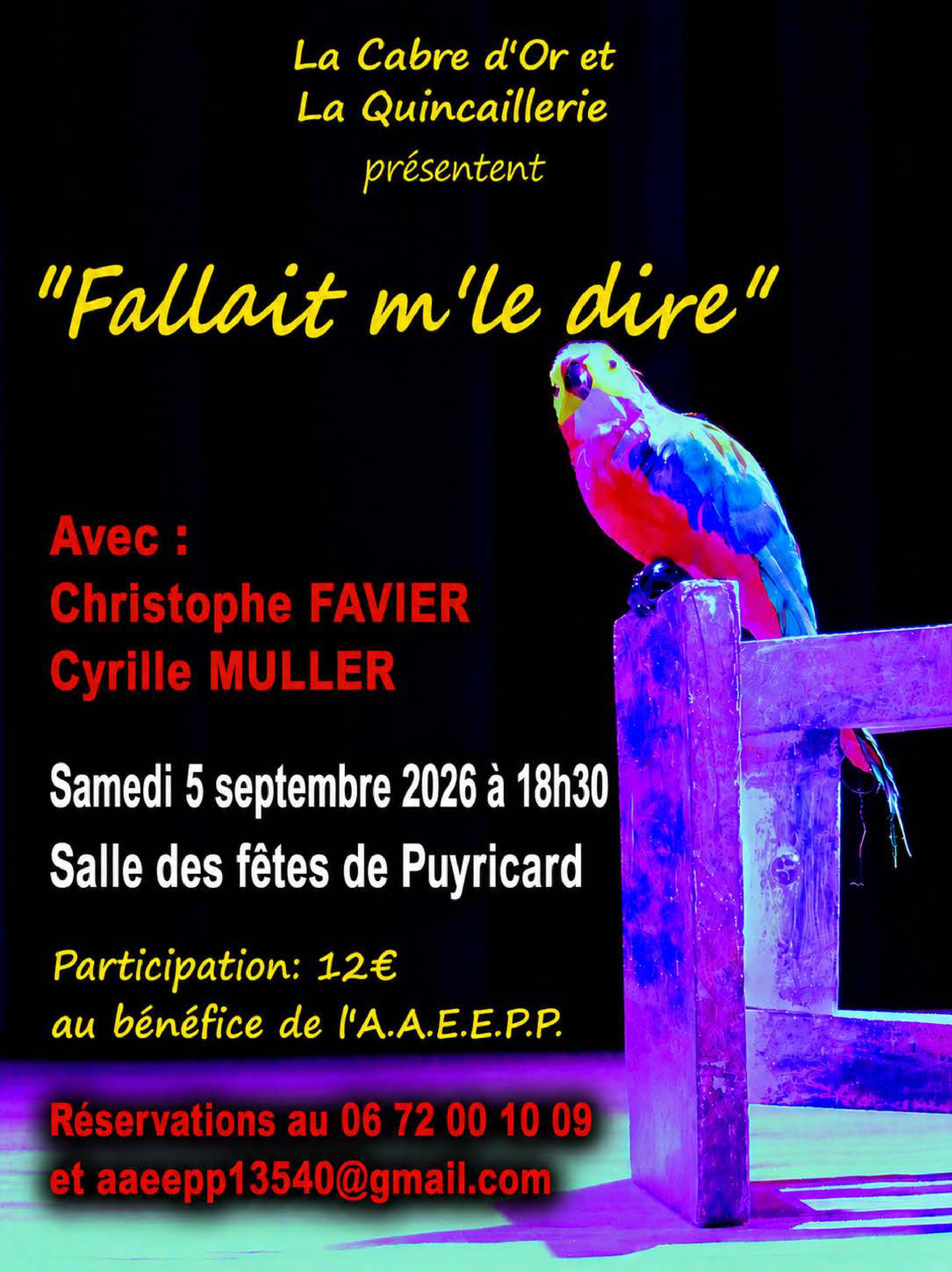 Théâtre - Fallait m'le dire