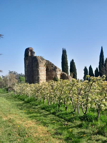 Réservoir chasse Siphon