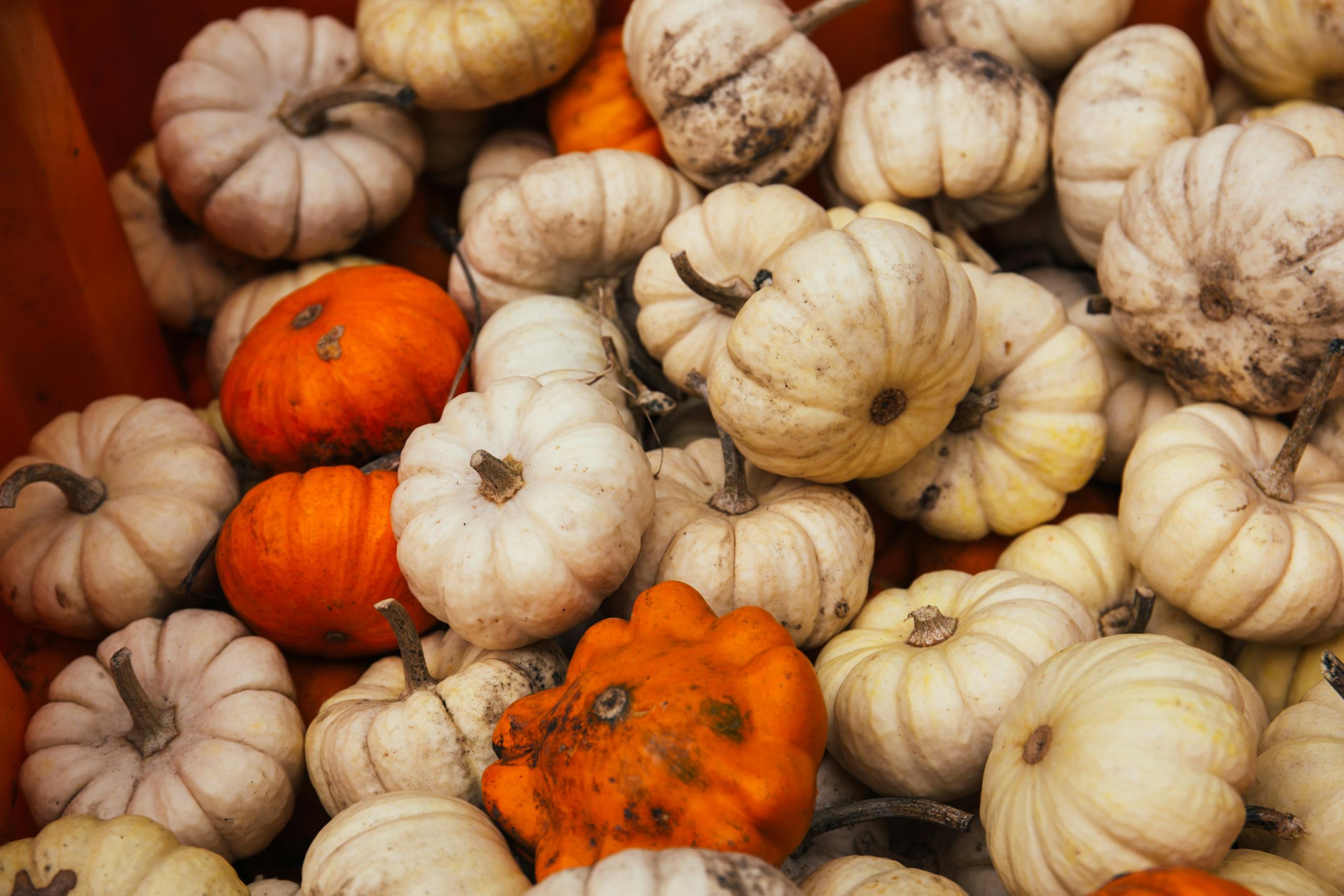 Marché d'automne