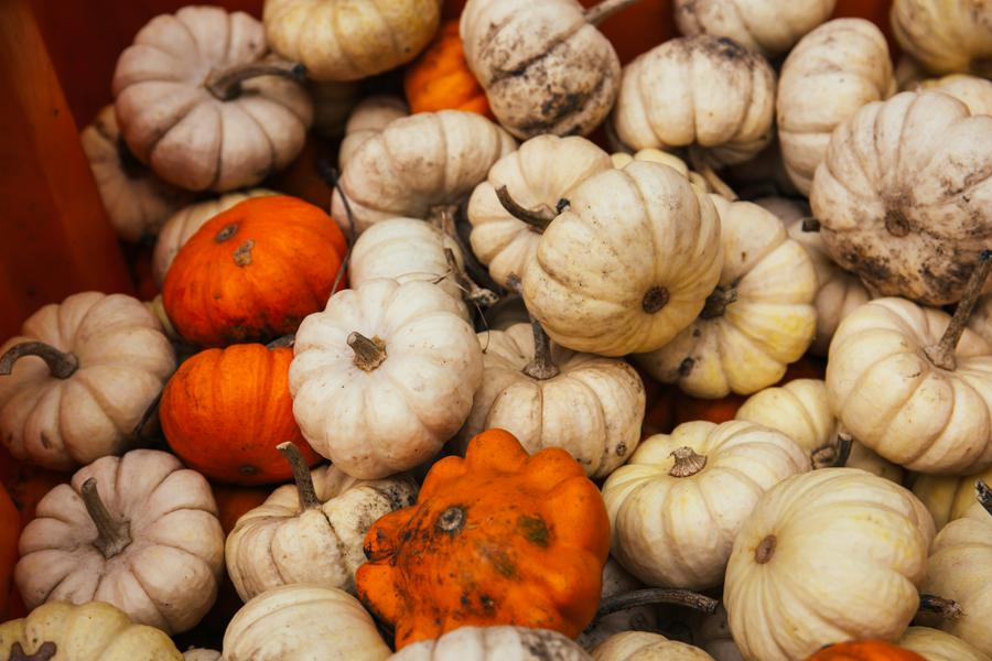 Marché d'automne